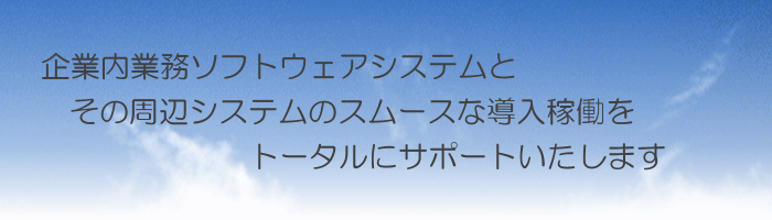 企業内業務ソフトウェアシステムとその周辺システムのスムースな導入稼働をトータルにサポートいたします